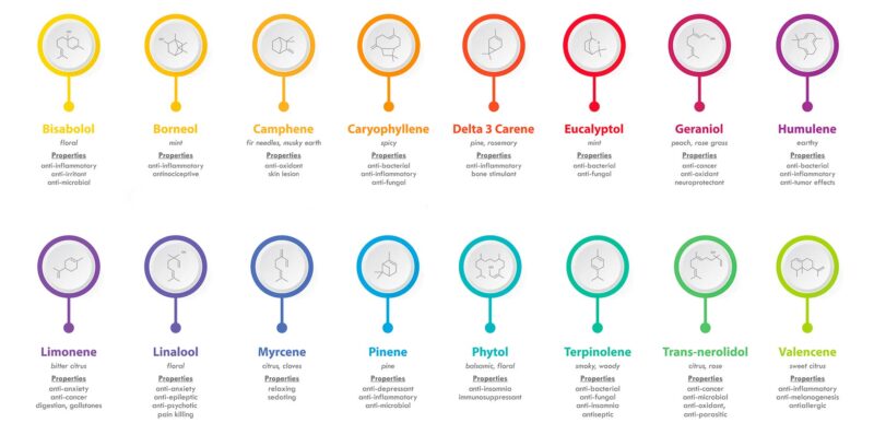 terpenes